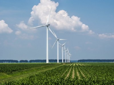 Jak działają farmy wiatrowe i dlaczego są przyszłością odnawialnej energii?