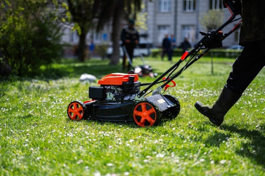 Kosiarki spalinowe - Jakie są najważniejsze cechy, na które warto zwrócić uwagę?